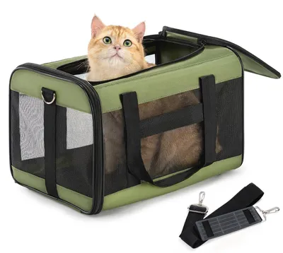 Produktbild von Katzentransportbox M Flugzeugtauglich bis 7kg L 43 x B 28 x H 28 cm Grün