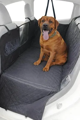 Produktbild von Autoschondecke für Hunde CAR BRUNO