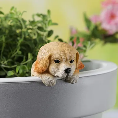 Produktbild von Blumentopfhänger Hund - niedliche Dekofigur als Topfhänger - Tierfigur - Polyresin - H: 11,5cm