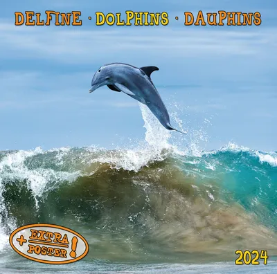Produktbild von Dolphins/Delfine 2024