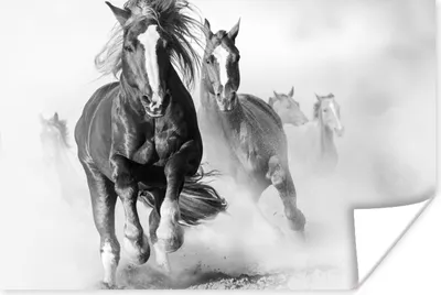 Produktbild von MuchoWow® Poster Pferde - Tiere - Illustration 180x120 cm - Fotoplakat
