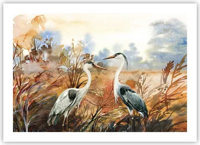 Produktbild von Poster - Poster ohne Rahmen - Kraniche Vögel Herbst - 70x50 cm - Wand Bild - Wanddeko - Wandbilder - Kunstposter - Wandposter - Bilder - Kunstdruck - Wanddekoration - Wandbild - P2XAA70x50-5077