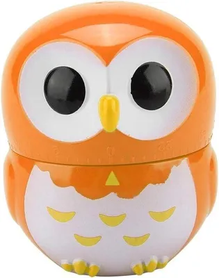 Immagine prodotto di Timer meccanico Oranje per la cucina