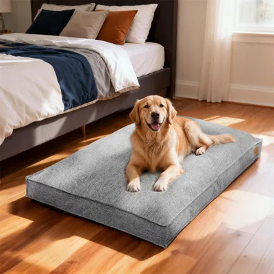 Image de WISFOR Lit pour chien, canapé pour chien, coussin pour chien, antidérapant, housse amovible et lavable, 2XL : 118 x 89 x 12 cm, gris