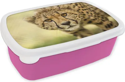 Produktbild von KitchenYeah® Lunchbox Brotzeit Brotdose 17x11 cm Leopard - Gepard - Tier Kinder Brotzeitdose - Lunchpaket - Brotkasten  - Sandwich Box