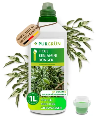 Produktbild von Purgrün Ficus-Benjamini-Dünger 1 Liter