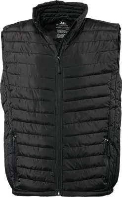 Produktbild von Tee Jays Herren Steppweste / Weste, gefüttert BC3336 (M) (Schwarz)