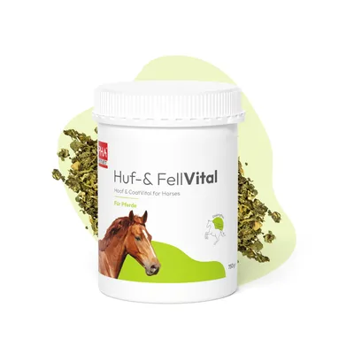 Immagine prodotto di PHA Huf & FellVital per cavalli, 750 g PUL