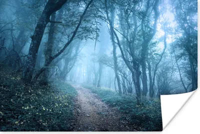 Produktbild von MuchoWow® Poster Bäume - Natur - Nebel 180x120 cm - Fotoplakat