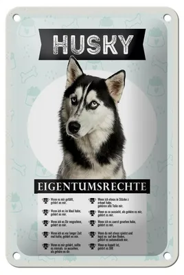 Produktbild von Blechschild Spruch 12x18cm Husky Eigentumsrechte Geschenk Dekoration