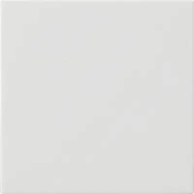 Image de Gira 537203 Bascule simple non imprimée Système 55 blanc pur
