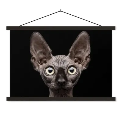 Produktbild von MuchoWow® Textilposter Katze - Haustiere - Porträt - Schwarz 150x100 cm mit schwarzem Rahmen - Schlafzimmer