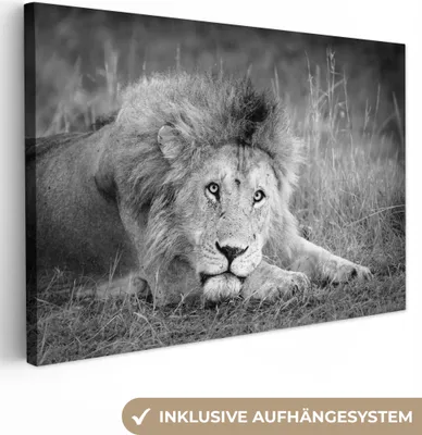 Produktbild von OneMillionCanvasses® - Leinwandbilder - 140x90 cm, Löwe - Schwarz - Tiere, Wandbilder Kunstdruck Wanddekoration