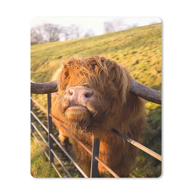 Produktbild von MuchoWow® Mauspad Mousepad Scottish Highlander - Zaun - Gras 30x40 cm - Mousepads - Maus Mat - Pad - Mausunterlage - Mausmatten