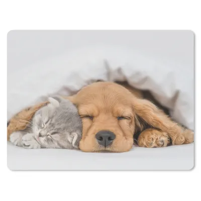 Produktbild von MuchoWow® Mauspad Mousepad Haustiere - Hund - Katze - Decke 23x19 cm - Mousepads - Maus Mat - Pad - Mausunterlage - Schreibtischunterlage - Mauspad