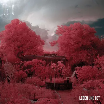 Zdjęcie produktu dla Leto: Życie i Śmierć - (LP / L)