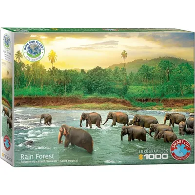 Immagine prodotto di Eurographics Puzzle Tropischer Regenwald, 1000 Teile, 68 x 48 cm, 6000-5540