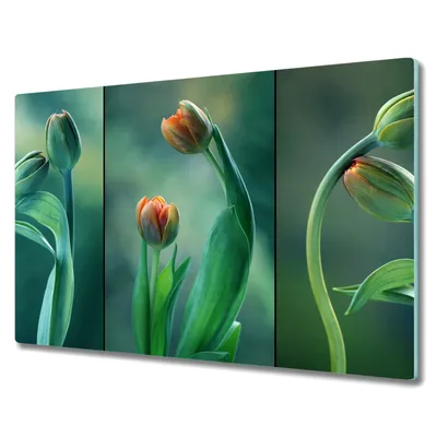 Produktbild von Coloray Hackbrett Herdabdeckplatte 80x52 cm Küchenbrett Kochplattenabdeckung Schneidebrett - Blumen Pflanzen Tulpen