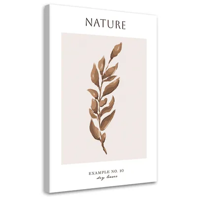 Produktbild von Leinwandbild Getrocknete Blätter – Natur 40x60 Feeby Beige bild für die wand bereit zum aufhängen