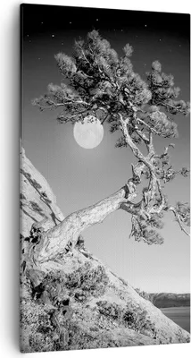 Produktbild von Bild auf Leinwand - Leinwandbild - Einteilig - Voll der Mond Baum - 55x100cm - Wand Bild - Wanddeko - Wandbilder - Leinwanddruck - Bilder - Wanddekoration - Leinwand bilder - Wandbild - PA55x100-4689