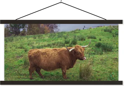 Produktbild von MuchoWow® Textilposter Schottische Hochlandrind - Gras - Wasser - Tiere 90x45 cm mit schwarzem Rahmen - Klemmleisten