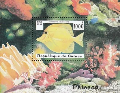 Produktbild von Briefmarken Guinea 1997 Mi Block510 (kompl.Ausg.) postfrisch Fische