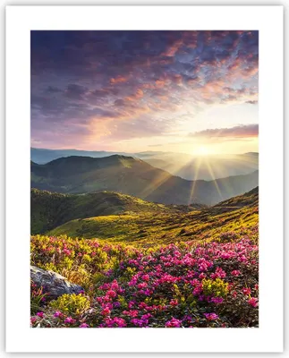 Produktbild von Poster - Poster ohne Rahmen - Gebirge Wiese Landschaft Wald - 40x50 cm - Wand Bild - Wanddeko - Wandbilder - Kunstposter - Wandposter - Bilder - Kunstdruck - Wandbild - P2XPA40x50-3152