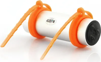 Immagine prodotto di 4 GB vodeodolný + lettore MP3 Šport con radio FM