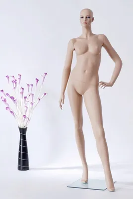 Obrázek produktu pro K-4698 Figurína fena. Barva kůže stojící elegantní elegantní moderní