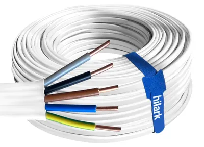 Image de Câble d'installation plat YDYp 5x6 mm² 10m