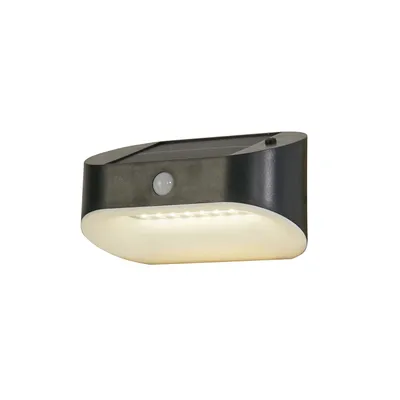 Produktbild von LED Wandleuchte, Solarleuchte, Grau, H 9,5 cm