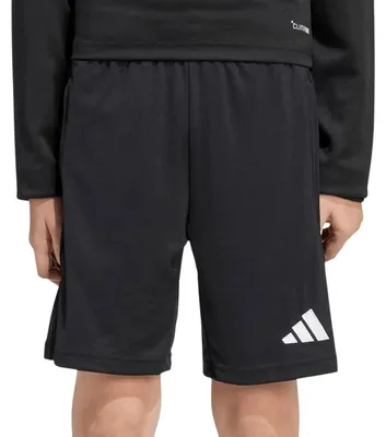 Produktbild von Adidas Entrada 26 Training Short Kinder