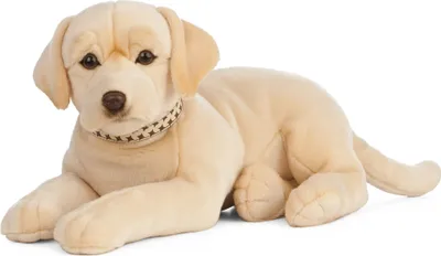 Image de Living Nature Doudou chien Giant Golden Lab peluche 60 cm