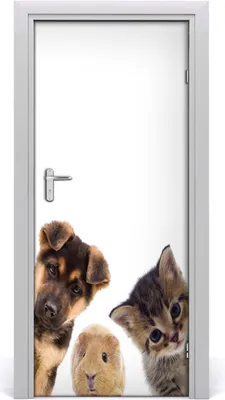 Produktbild von Tulup Türaufkleber 85x205 cm Dekorative Aufkleber Selbstklebend Wasserdichte Tapete Abnehmbar Schlafzimmer Wohnzimmer Wohnkultur - Haustiere