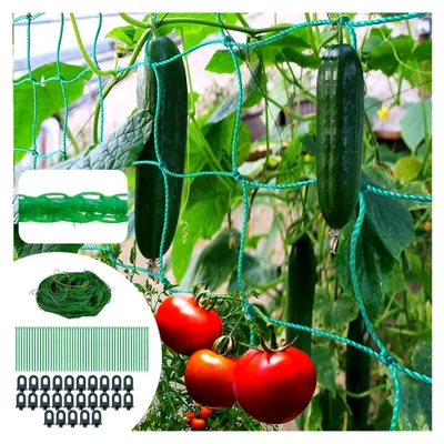 Produktbild von Ranknetz für Kletterpflanzen, 2M x 5M mit 25 Gewächshausclips und 50 Pflanzenbindern