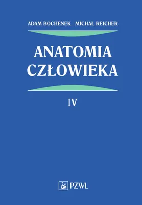 Productafbeelding van Anatomia człowieka Tom 4