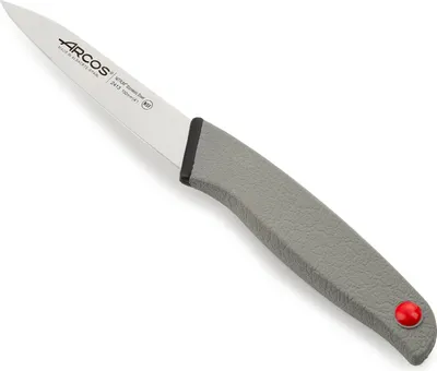 Obrázok produktu pre Nôž Arcos série COLOUR PROF 241300 z nehrdzavejúcej ocele Nitrum s rukoväťou z polypropylénu a čepeľou s dĺžkou 100 mm