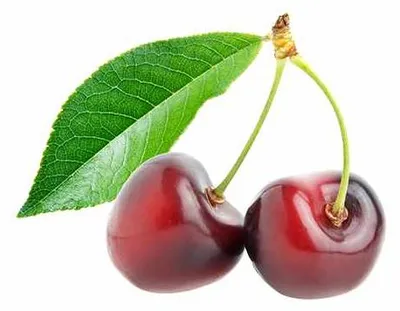 Obrázok produktu pre Čerešňa 'Van'  samoploďná Prunus avium Van