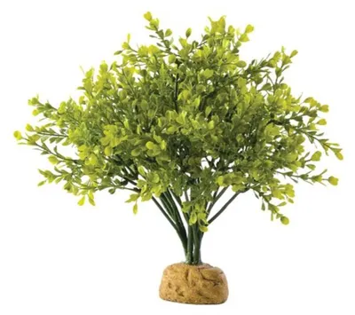 Produktbild von Exo Terra Buchsbaum, künstliche Pflanze für Terrarien, 4 g