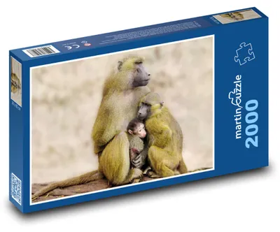 Produktbild von martinpuzzle - Puzzle 2000 Teile - Affenfamilie