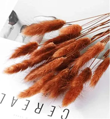 Produktbild von 30pcs Pampasgras Natürliches Getrocknetes Getrocknet Blumen Klein Trockenblumen Gartendekoration Hochzeit Deko