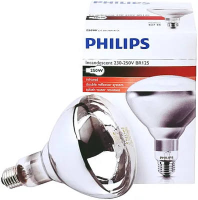 Produktbild von Philips 60800122044, 250 W