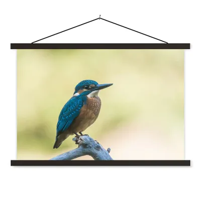 Produktbild von MuchoWow® Textilposter Eisvogel - Zweig - Vogel 60x40 cm mit schwarzem Rahmen - Hölzernes