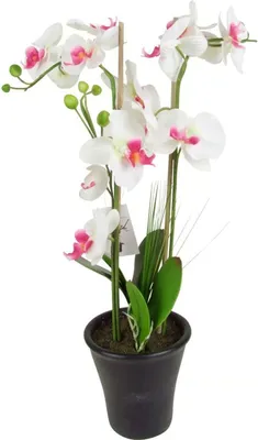 Produktbild von Künstliche Orchidee Kunstblume Weiß/Pink im Topf 60cm