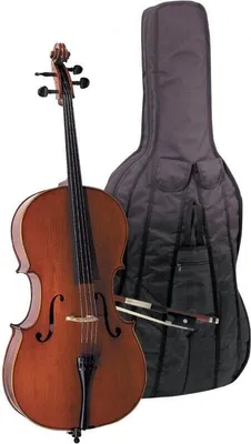 Image de Gewa Cello EW