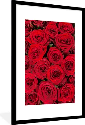 Produktbild von MuchoWow® Gerahmtes Poster Rosen - Blumen - Blumenstrauß 60x90 cm - Poster mit Schwarzem Bilderrahmen Wandposter Rahmen Foto Bilder - Dekoration - Wandposter Wohnzimmer - Hochwertig