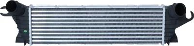 Productafbeelding van INTERCOOLER RENAULT KANGOO 1.9 DCI 4x4, bouwjaar 2001 en later