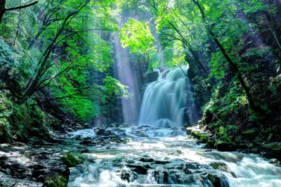 Produktbild von Muralo Fototapete Natur 104 (B) x 70.5 (H) cm Vlies Tapete Wandtapeten Wasserfall Felsen Bäume Pflanzen Wohnzimmer Schlafzimmer moderne Wandbilder XXL Landschaft Panorama Wand Dekoration