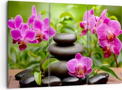 Produktbild von Bild auf Leinwand - Leinwandbild - Blumen Steine Bambus Dekoration - 105x70cm - Wand Bild - Wanddeko - Leinwanddruck - Bilder - Kunstdruck - Leinwand bilder - Wandkunst - CE105x70-2687