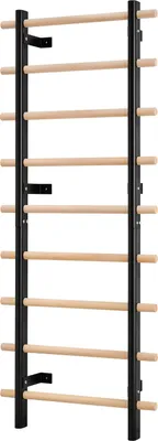 A wall-mounted Swedish ladder with wooden rungs and black metal supports against a white background.